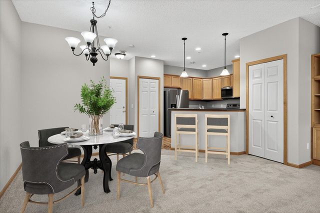 10911 Goodhue Street NE D, Blaine, MN 55449