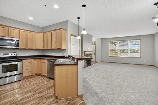 10911 Goodhue Street NE D, Blaine, MN 55449