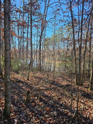 242 Ranger Creek Road, Coalmont, TN 37313