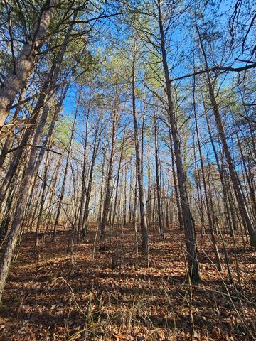 242 Ranger Creek Road, Coalmont, TN 37313