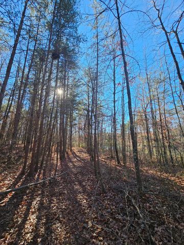 242 Ranger Creek Road, Coalmont, TN 37313