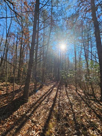 242 Ranger Creek Road, Coalmont, TN 37313