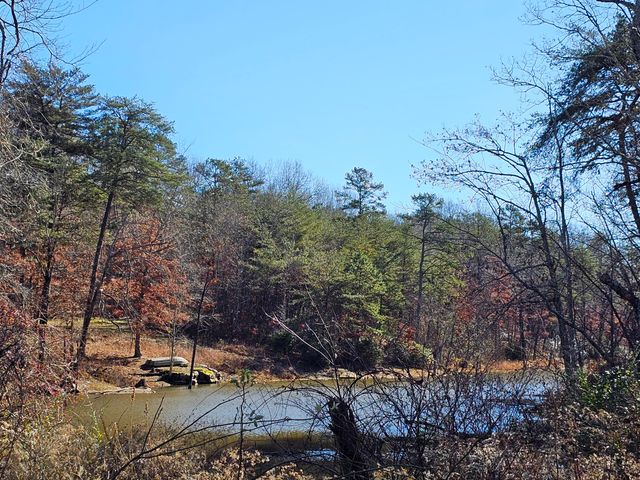 242 Ranger Creek Road, Coalmont, TN 37313