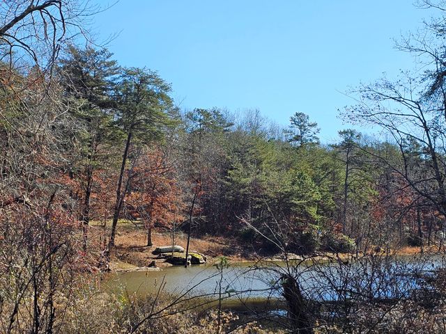 242 Ranger Creek Road, Coalmont, TN 37313