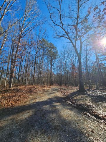 242 Ranger Creek Road, Coalmont, TN 37313