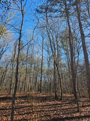 242 Ranger Creek Road, Coalmont, TN 37313