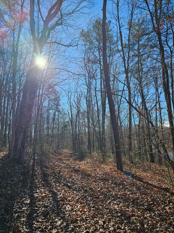 242 Ranger Creek Road, Coalmont, TN 37313