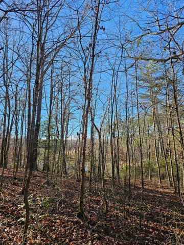 242 Ranger Creek Road, Coalmont, TN 37313