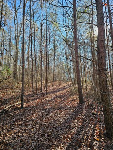 242 Ranger Creek Road, Coalmont, TN 37313