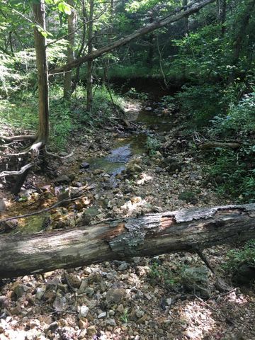 000 County Road P-305, Ava, MO 65608