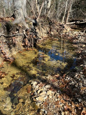 000 County Road P-305, Ava, MO 65608