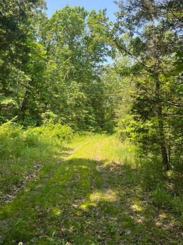000 County Road P-305, Ava, MO 65608