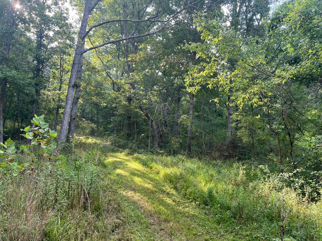 000 County Road P-305, Ava, MO 65608