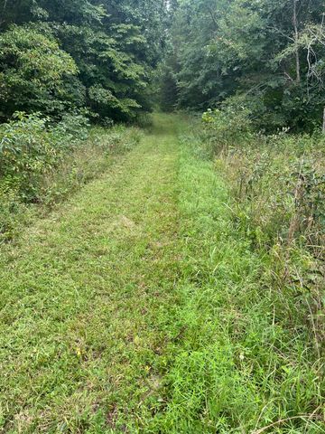 000 County Road P-305, Ava, MO 65608