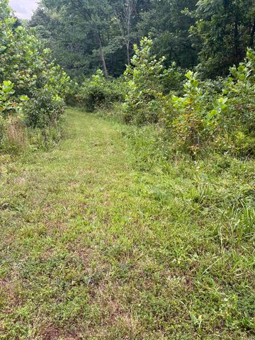 000 County Road P-305, Ava, MO 65608