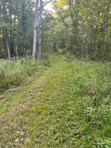 000 County Road P-305, Ava, MO 65608