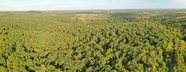 000 County Road P-305, Ava, MO 65608