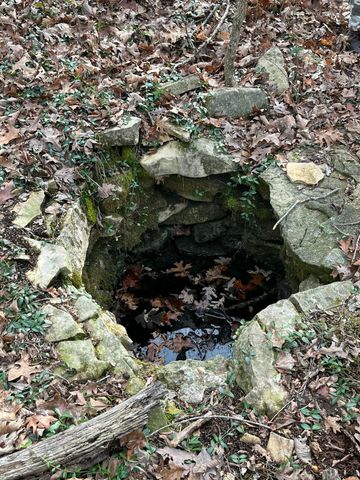 000 County Road P-305, Ava, MO 65608