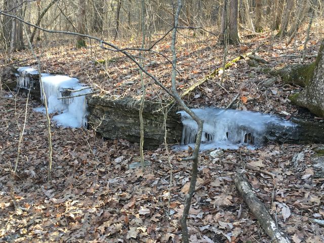 000 County Road P-305, Ava, MO 65608