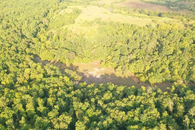 000 County Road P-305, Ava, MO 65608