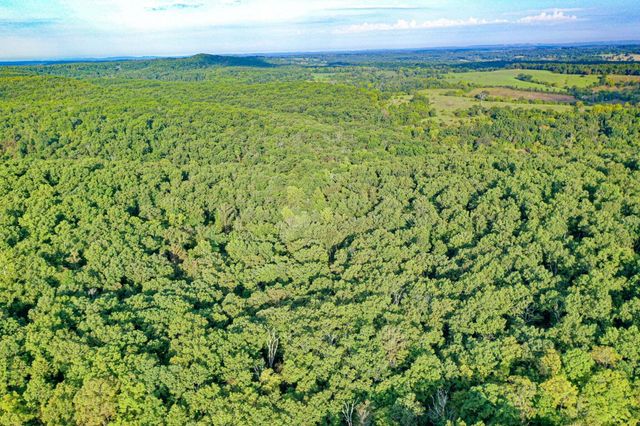 000 County Road P-305, Ava, MO 65608