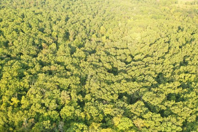 000 County Road P-305, Ava, MO 65608