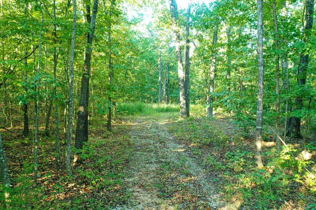 000 County Road P-305, Ava, MO 65608