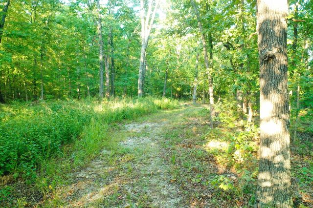 000 County Road P-305, Ava, MO 65608