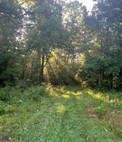 000 County Road P-305, Ava, MO 65608