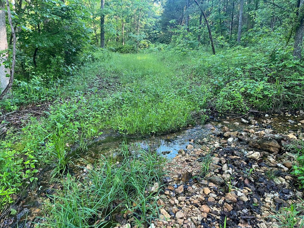 000 County Road P-305, Ava, MO 65608