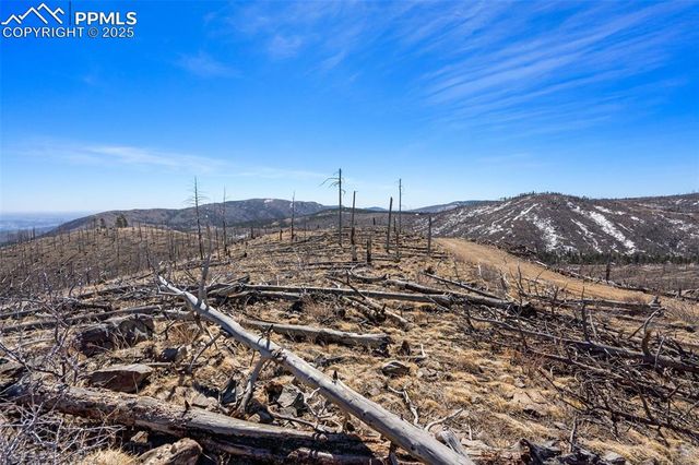 Rist Creek Road, Bellvue, CO 80512