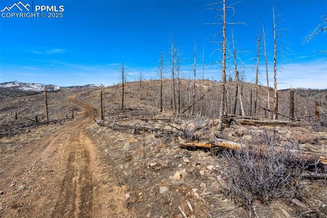 Rist Creek Road, Bellvue, CO 80512