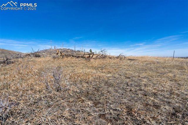 Rist Creek Road, Bellvue, CO 80512