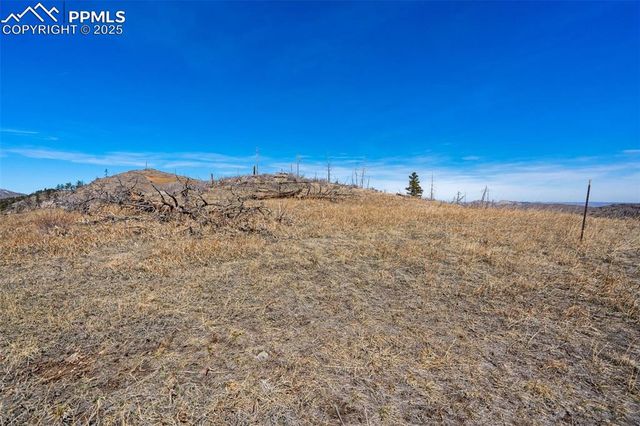 Rist Creek Road, Bellvue, CO 80512