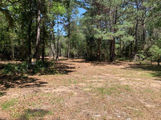 36155 Old Courtney Road, Waller, TX 77484