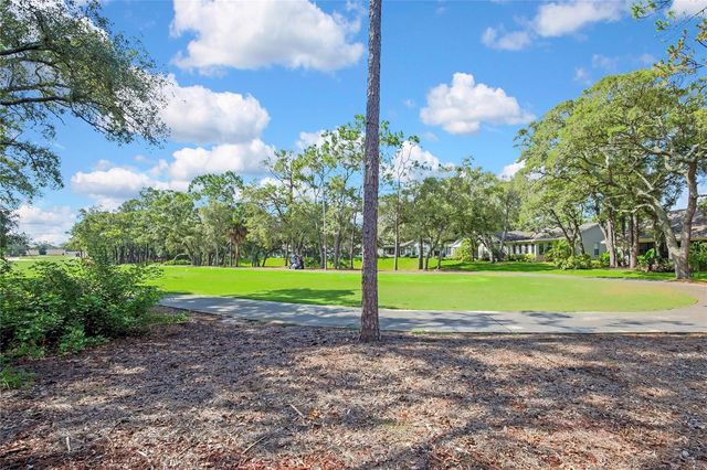 6577 PINE MEADOWS DRIVE, Spring Hill, FL 34606