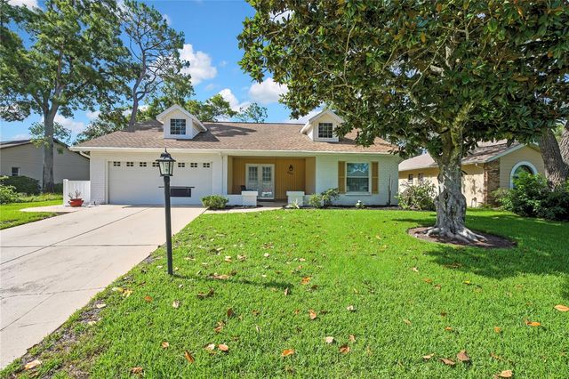6577 PINE MEADOWS DRIVE, Spring Hill, FL 34606