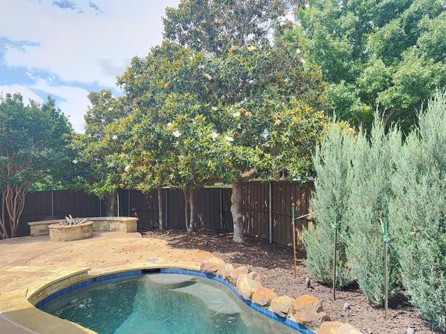 1401 Luckenbach Drive, Allen, TX 75013