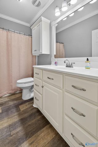 6463 Spring Creek Drive, Guntersville, AL 35976