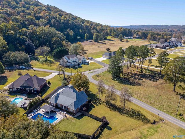 6463 Spring Creek Drive, Guntersville, AL 35976