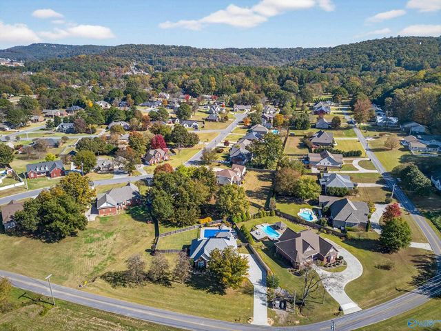 6463 Spring Creek Drive, Guntersville, AL 35976