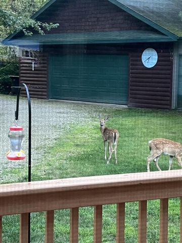 N13403 US HIGHWAY 141, Wausaukee, WI 54177