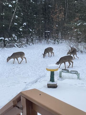 N13403 US HIGHWAY 141, Wausaukee, WI 54177