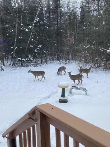 N13403 US HIGHWAY 141, Wausaukee, WI 54177