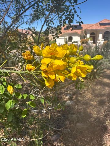 1121 W ASTER Drive, Phoenix, AZ 85029