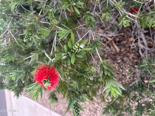 1121 W ASTER Drive, Phoenix, AZ 85029