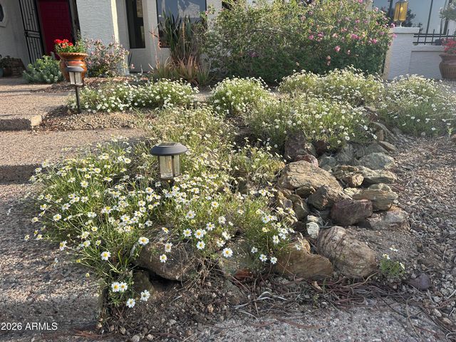 1121 W ASTER Drive, Phoenix, AZ 85029