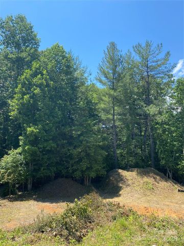 166 Williams Meadow Loop, Hendersonville, NC 28739