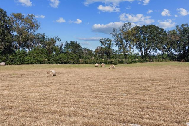 TBD NE 150 STREET, Trenton, FL 32693