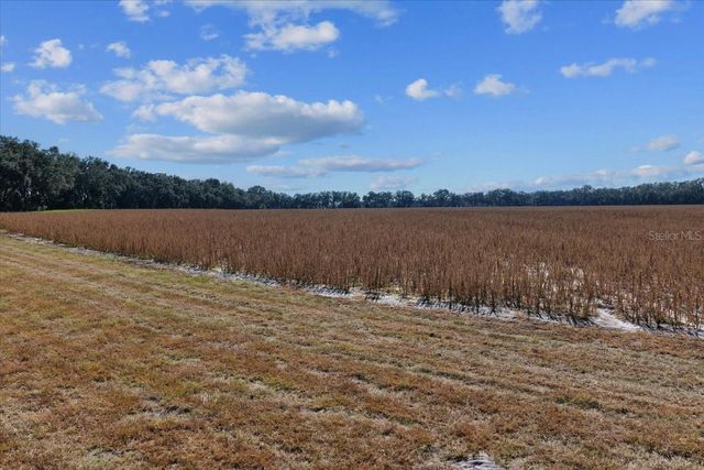 TBD NE 150 STREET, Trenton, FL 32693